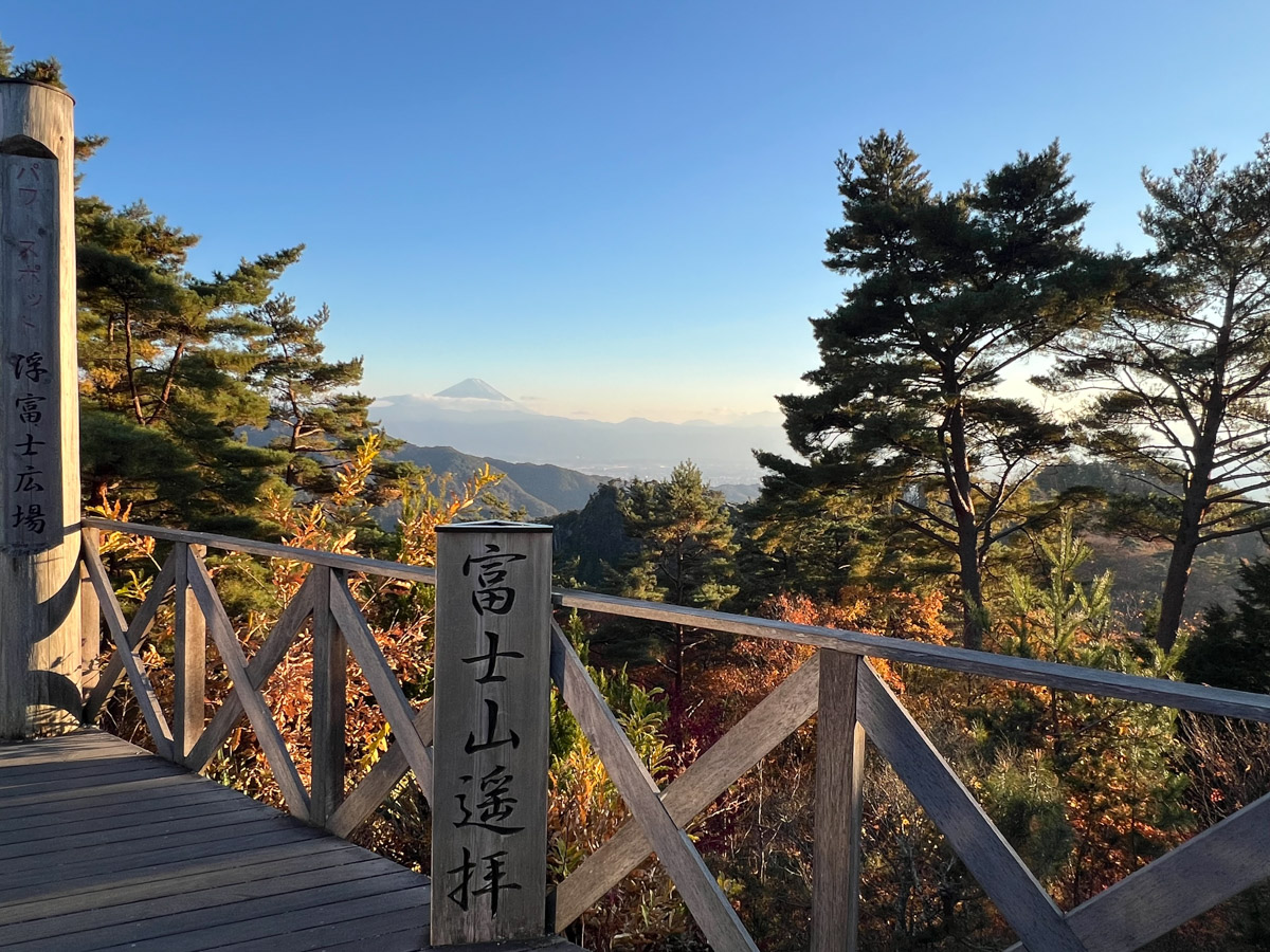 山梨の展望台から望む富士山